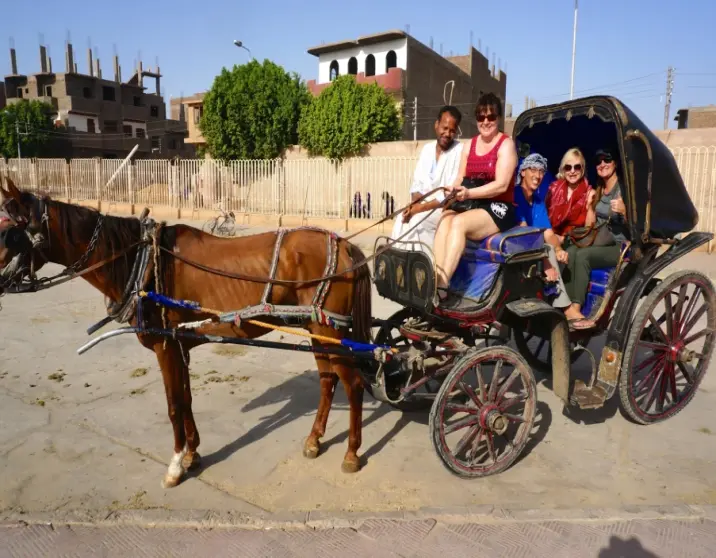Aswan City Tour by Horse Carriage – Explore Aswan’s Charm